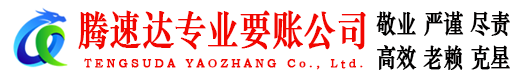 玄武讨债公司